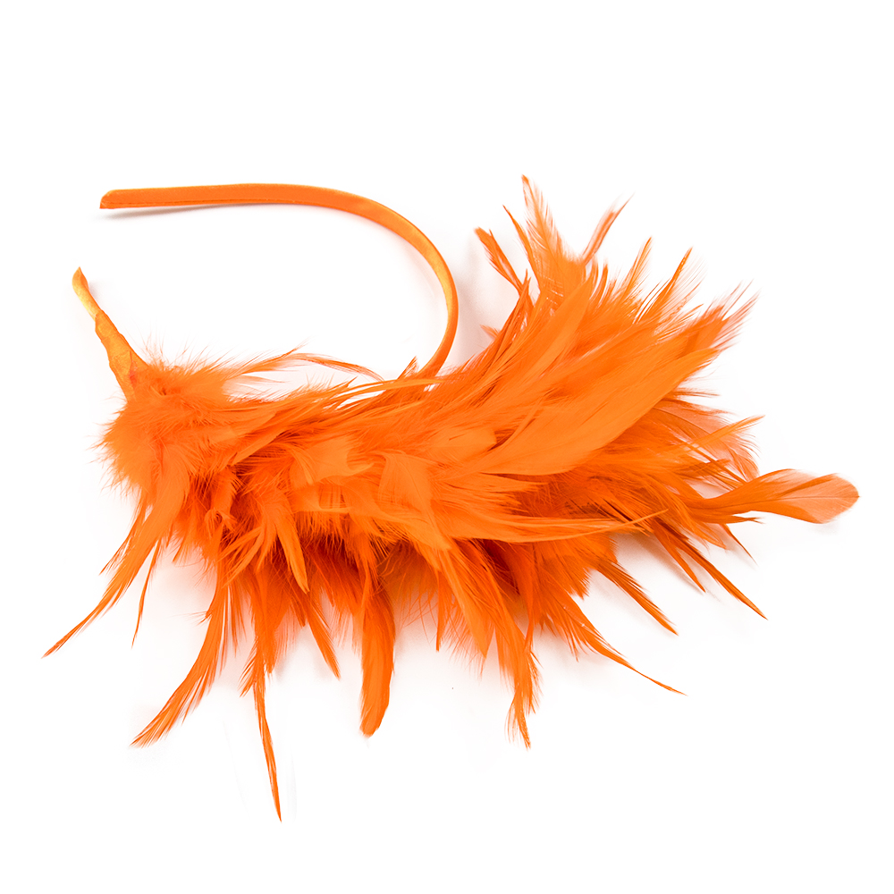 Dance performance feather head - Travel Accessories Bunnings review and price