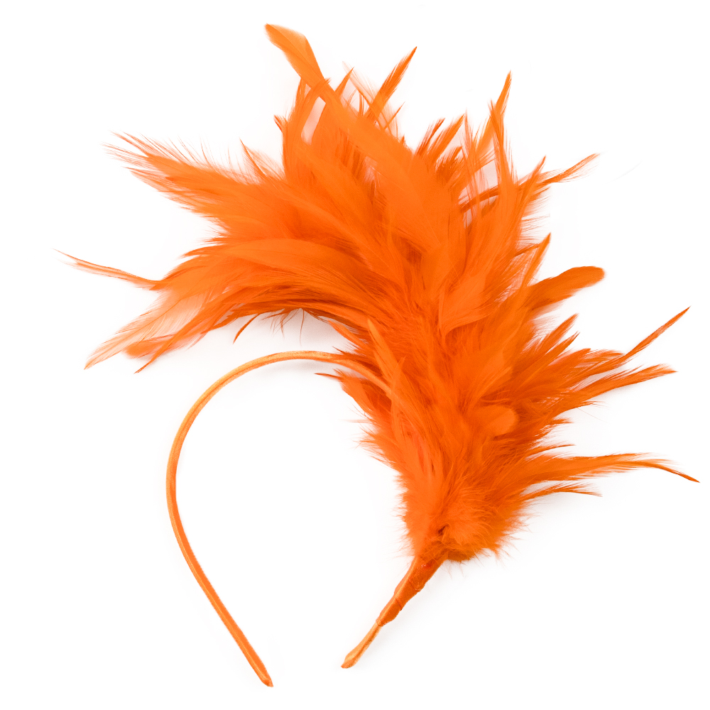 Dance performance feather head - Travel Accessories Bunnings review and price