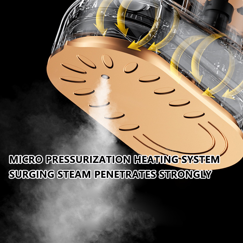 Mini Garment Steamer Steam Iro - Portable Steamer Clothes review and price
